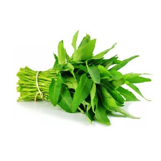 Kangkung hidroponik segar